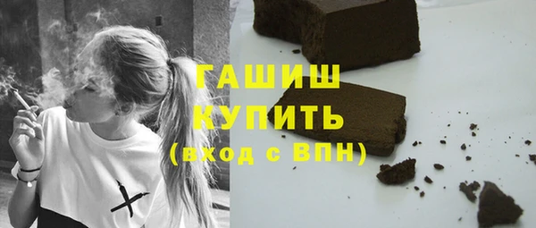 мдпв Новозыбков