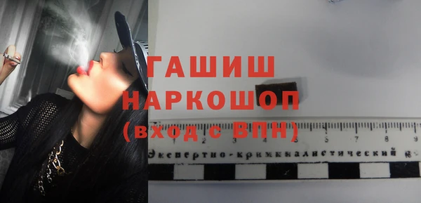 мдпв Новозыбков