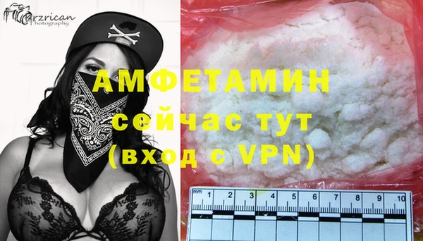 хмурый Нея