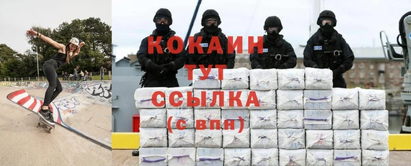 мдпв Новозыбков