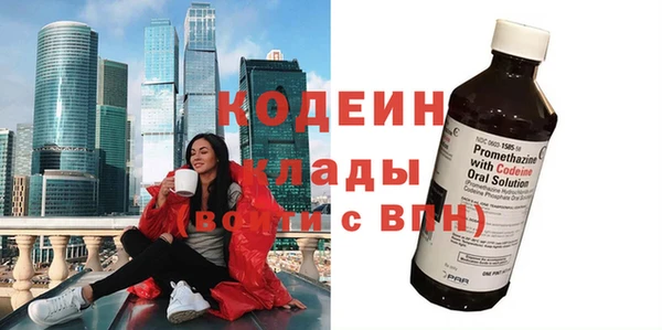 крисы Новодвинск