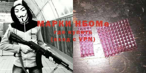 мдпв Новозыбков